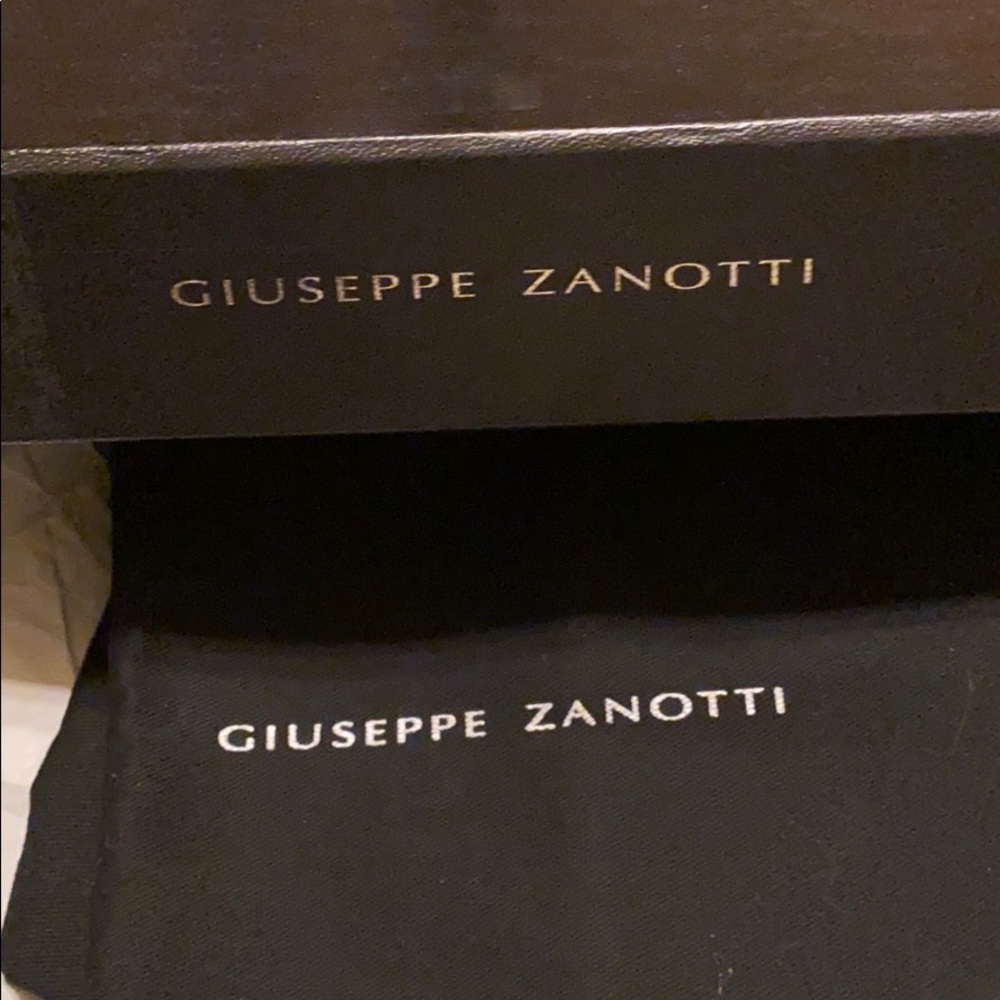 Giuseppe Zanotti